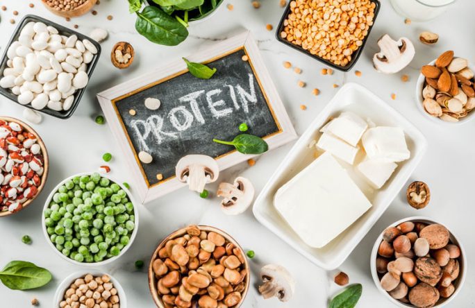 כל מה שרציתם לדעת על חלבון ולא העזתם לשאול - אלטמן בריאות