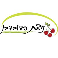 ניצת הדובדבן