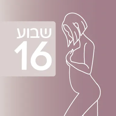 שבוע 16 להיריון