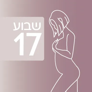 שבוע 17 להיריון