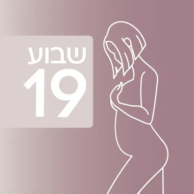 שבוע 19 להיריון