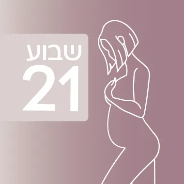 שבוע 21 להיריון