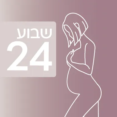 שבוע 24 להיריון