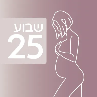 שבוע 25 להיריון