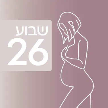 שבוע 26 להיריון