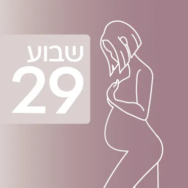 שבוע 29 להיריון