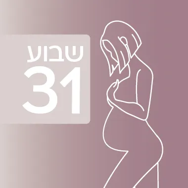 שבוע 31 להיריון