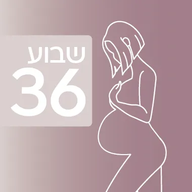 שבוע 36 להיריון