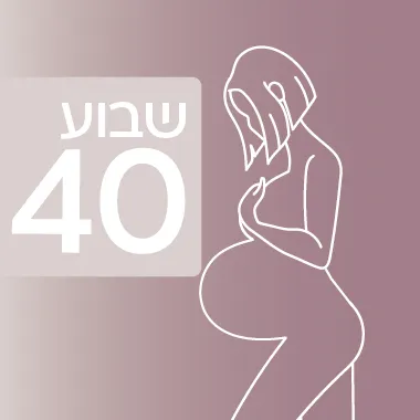 שבוע 40 להיריון